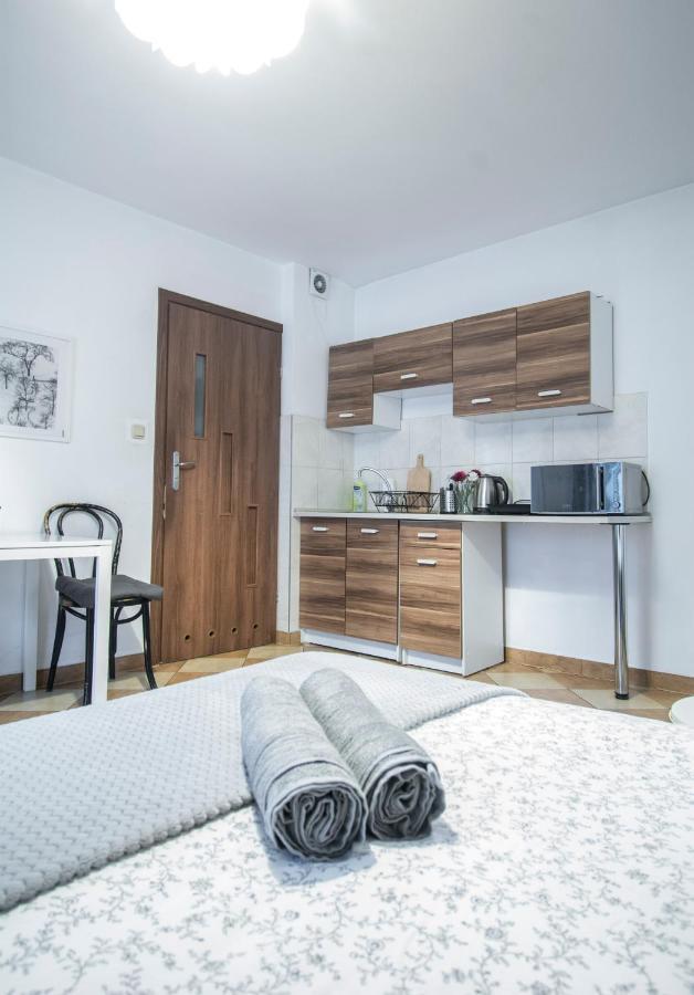 Lion Apartments - Your Own Apartment In Cracow 克拉科夫 外观 照片
